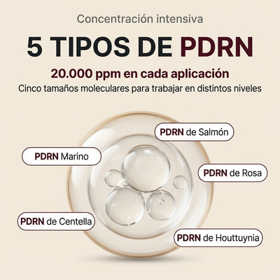 Lyria™ | Crema Regeneradora PDRN | PDRN + Centella Asiática