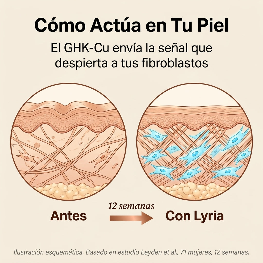 Lyria™ | Sérum Péptido de Cobre | GHK-Cu + Colágeno
